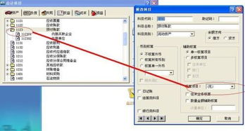 單位可以設(shè)置一級會計科目