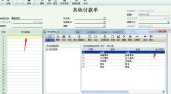 還款,怎么做,會(huì)計(jì)科目