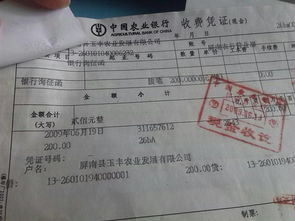 會(huì)計(jì)科目,詢證函