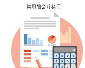 核算,會(huì)計(jì)科目,內(nèi)容