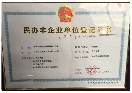 民辦非企業(yè)單位會計科目及會計報表,民辦非企業(yè)單位做賬的會計科目,民辦非企業(yè)單位會計科目及賬務(wù)處理