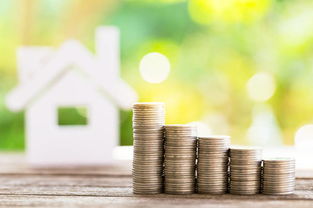 入股,分紅,會計科目,投資