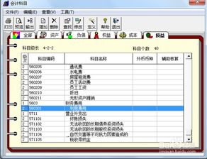 用友u8增加會(huì)計(jì)科目,用友怎么增加會(huì)計(jì)科目,用友t6增加會(huì)計(jì)科目