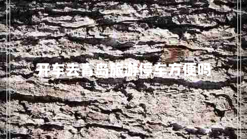 開車去青島旅游停車方便嗎