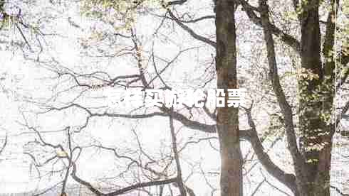 怎樣買游輪船票