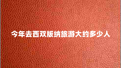 今年去西雙版納旅游大約多少人