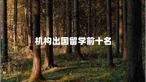機構(gòu)出國留學前十名