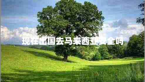 現(xiàn)在出國(guó)去馬來(lái)西亞安全嗎