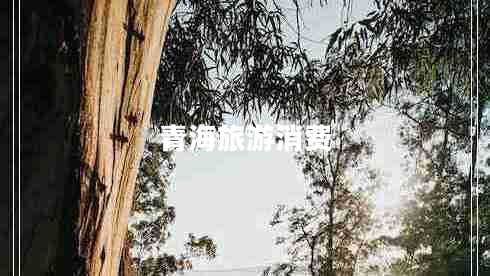 青海旅游消費