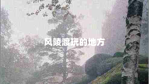 風陵渡玩的地方 風陵渡玩的地方