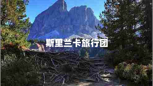 斯里蘭卡旅行團(tuán)