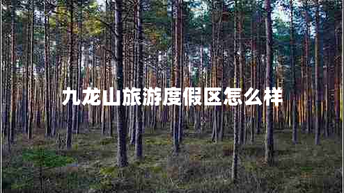 九龍山旅游度假區(qū)怎么樣 九龍山旅游度假區(qū)怎么樣