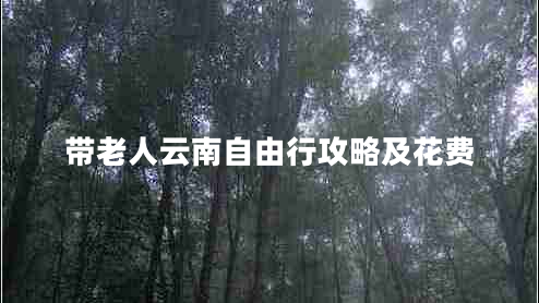 帶老人云南自由行攻略及花費(fèi)