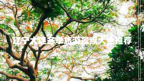 遼寧大連冬季旅游景點大全推薦 遼寧大連冬季旅游景點大全推薦