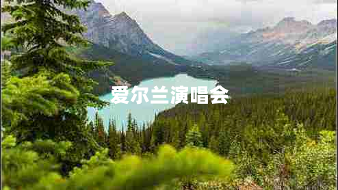 愛(ài)爾蘭演唱會(huì)