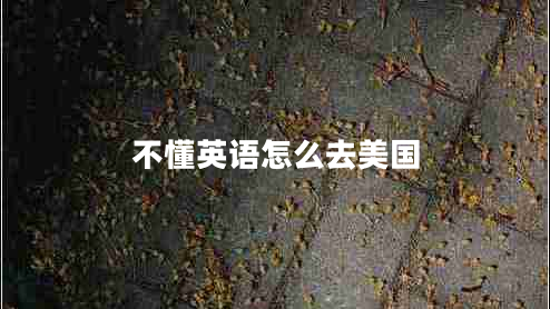 不懂英語(yǔ)怎么去美國(guó) 不懂英語(yǔ)怎么去美國(guó)