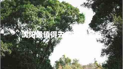 沈陽最值得去的20個(gè)景點(diǎn) 沈陽最值得去的20個(gè)景點(diǎn)