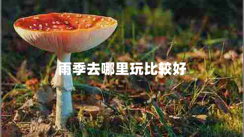 雨季去哪里玩比較好 雨季去哪里玩比較好