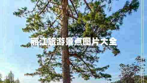 麗江旅游景點(diǎn)圖片大全 麗江旅游景點(diǎn)圖片大全