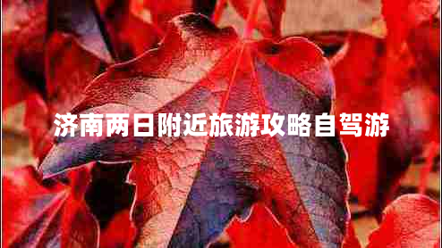 濟(jì)南兩日附近旅游攻略自駕游