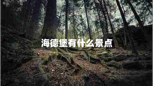 海德堡有什么景點(diǎn)