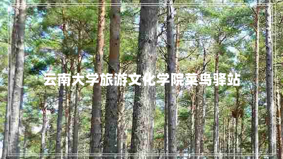 云南大學(xué)旅游文化學(xué)院菜鳥驛站