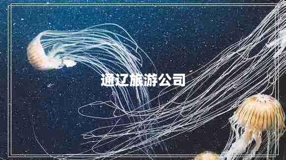 通遼旅游公司