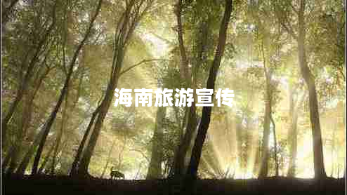 海南旅游宣傳