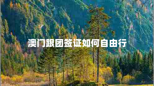 澳門跟團簽證如何自由行 澳門跟團簽證如何自由行