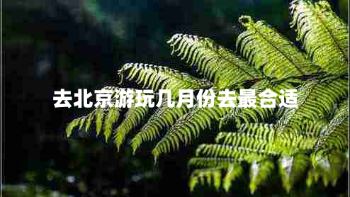 去北京游玩幾月份去最合適 去北京游玩幾月份去最合適