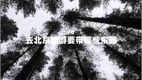 去北京旅游要帶哪些東西