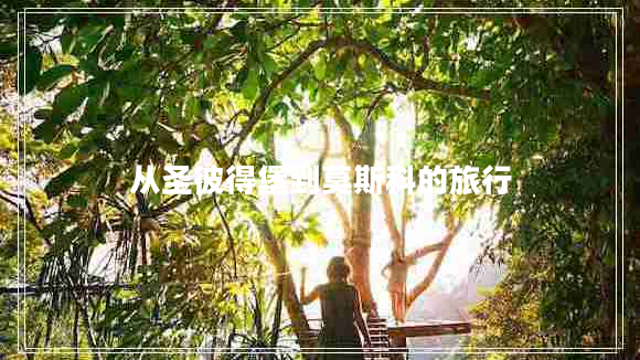 從圣彼得堡到莫斯科的旅行 從圣彼得堡到莫斯科的旅行