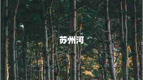 蘇州河