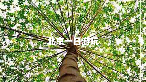 北京一日游玩 北京一日游玩