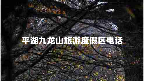 平湖九龍山旅游度假區(qū)電話