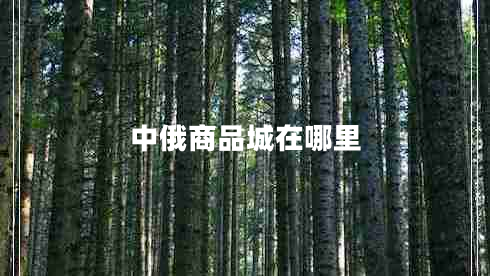 中俄商品城在哪里 中俄商品城在哪里