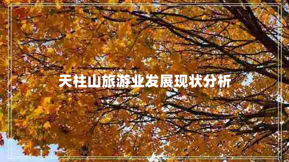 天柱山旅游業(yè)發(fā)展現(xiàn)狀分析 天柱山旅游業(yè)發(fā)展現(xiàn)狀分析