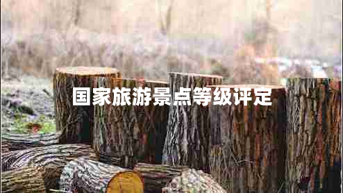國家旅游景點等級評定 國家旅游景點等級評定