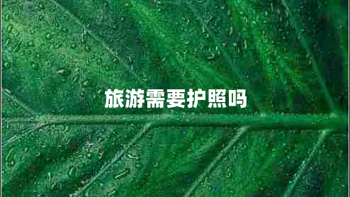 旅游需要護(hù)照嗎 旅游需要護(hù)照嗎