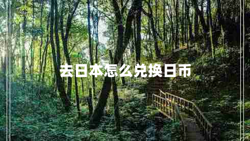 去日本怎么兌換日幣 去日本怎么兌換日幣