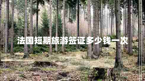 法國短期旅游簽證多少錢一次