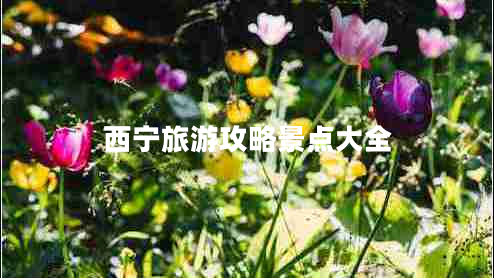 西寧旅游攻略景點大全 西寧旅游攻略景點大全
