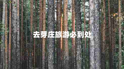 去芽莊旅游必到處 去芽莊旅游必到處