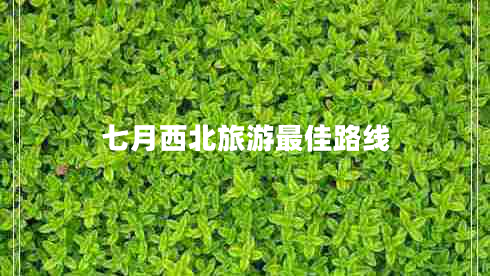 七月西北旅游最佳路線 七月西北旅游最佳路線