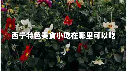西寧特色美食小吃在哪里可以吃