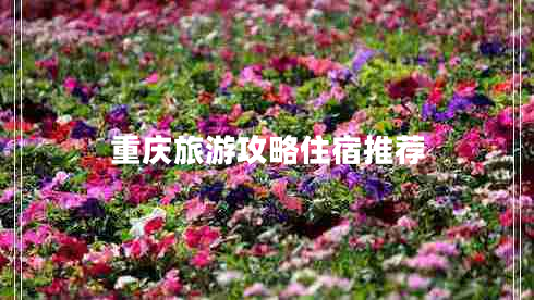 重慶旅游攻略住宿推薦