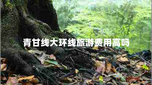 青甘線大環(huán)線旅游費用高嗎 青甘線大環(huán)線旅游費用高嗎