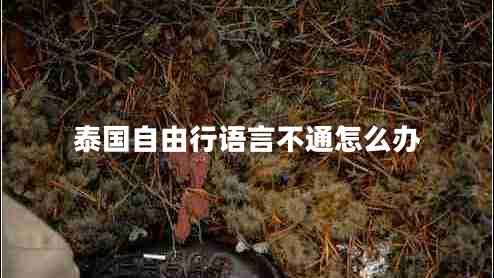 泰國(guó)自由行語(yǔ)言不通怎么辦