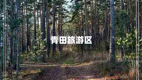 青田旅游區(qū)