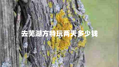 去蕪湖方特玩兩天多少錢